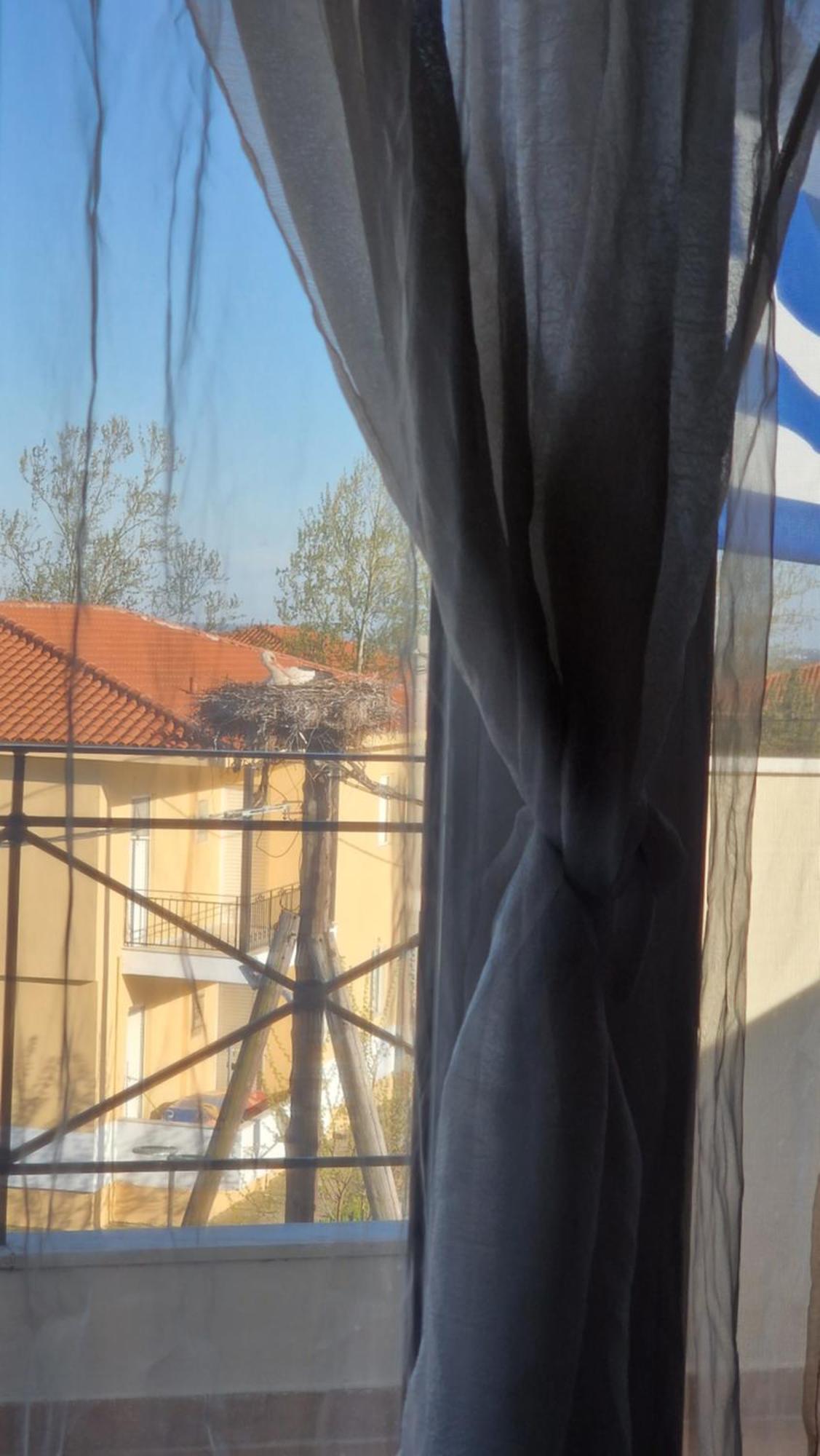 Kofinaki Apartment 1 Tycherón Екстериор снимка