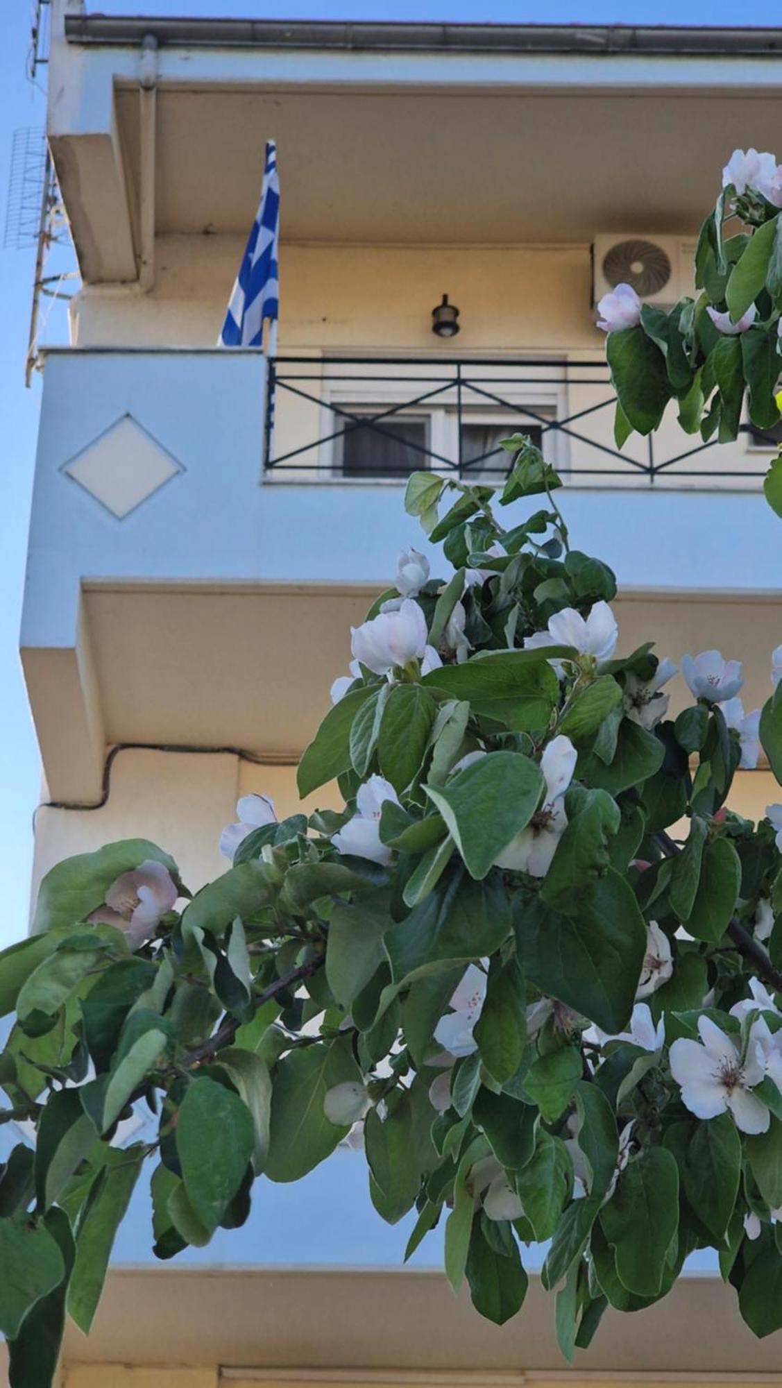 Kofinaki Apartment 1 Tycherón Екстериор снимка