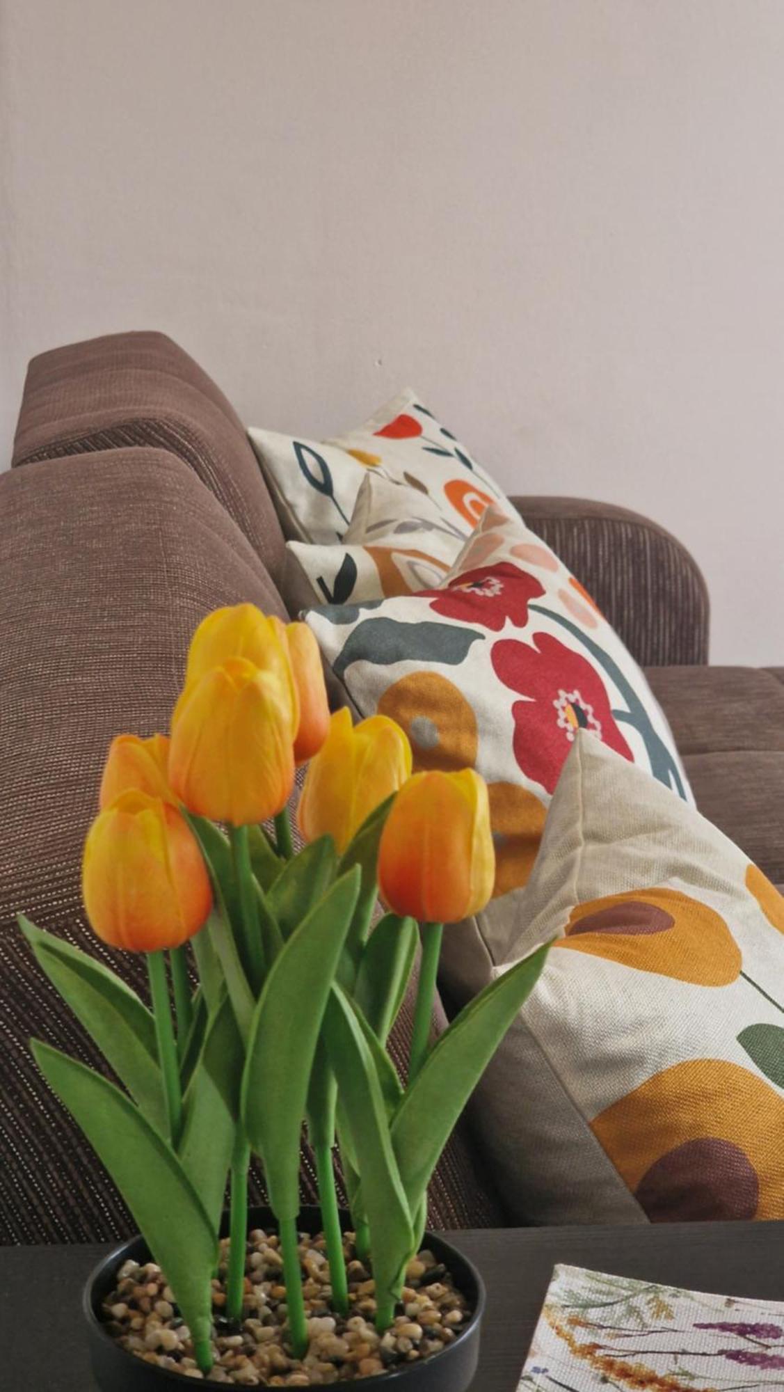 Kofinaki Apartment 1 Tycherón Екстериор снимка